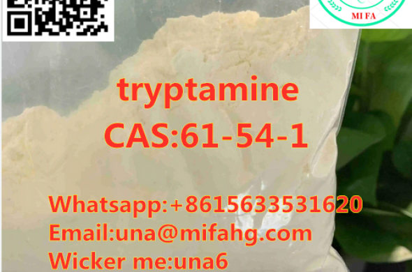 Safe delivery CAS:61-54-1tryptamine