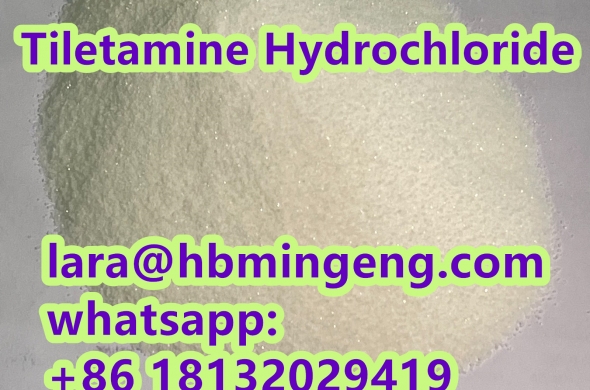 14176-50-2 Tiletamine Hydrochloride