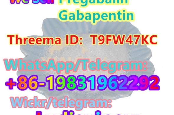 Buy Powder form of pregabalin crystal pregabalin large stock GABA price