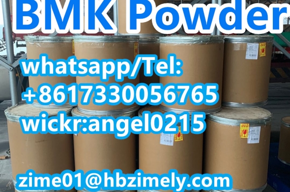 high 5449-12-7 5449 bmk glycidic acid sodium salt bmk powder