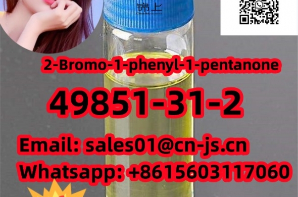 hot selling 49851-31-2 2-Bromo-1-phenyl-1-pentanone