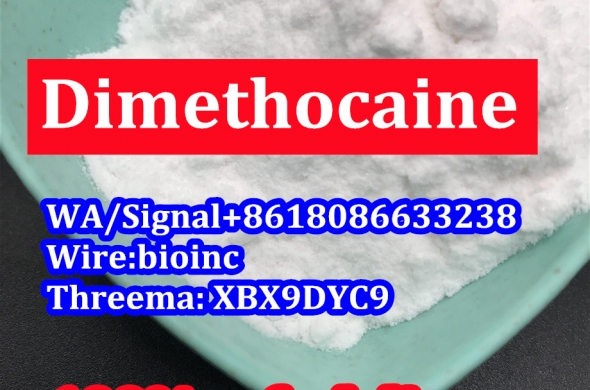 Dimethocaine for sale CAS 553-63-9