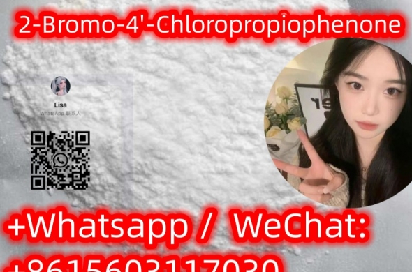 high quality2-Bromo-4'-ChloropropiophenoneCAS877-37-2