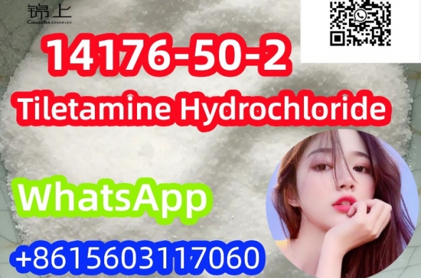 china supply Tiletamine Hydrochloride CAS 14176-50-2 