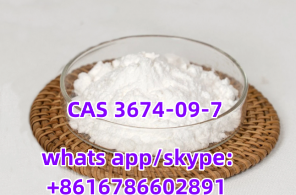 Methyl 2,3-dichloropropionate CAS 3674-09-7
