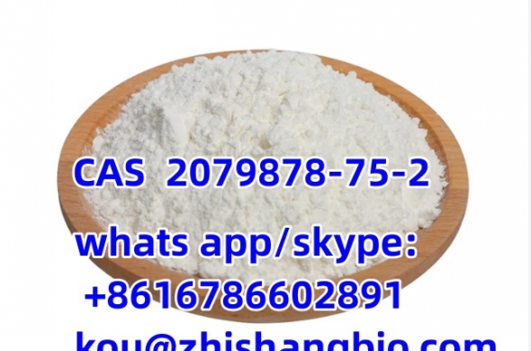 2-(2-Chlorophenyl)-2-nitrocyclohexanone CAS 2079878-75-2
