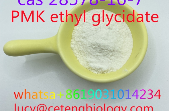 cas 28578-16-7 PMK ethyl glycidate