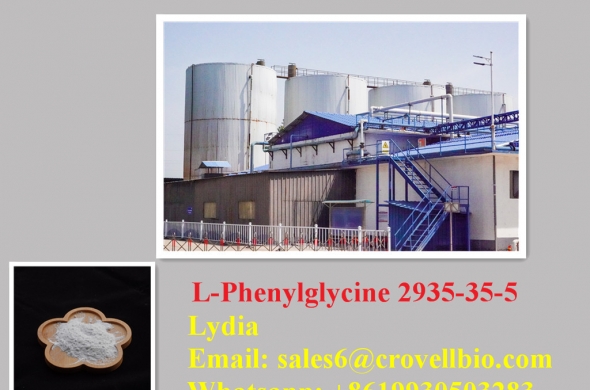 Supply L-Phenylglycine CAS NO. 2935-35-5 with best price