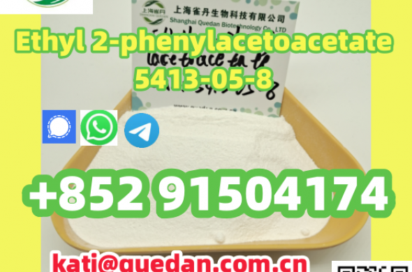 Safety delivery,Ethyl 2-phenylacetoacetate 5413-05-8