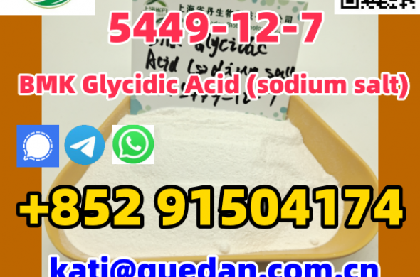 High purity,BMK Glycidic Acid (sodium salt) 5449-12-7