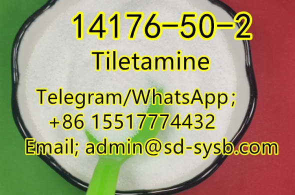 37 CAS:14176-50-2 Tiletamine Chinese factory supply