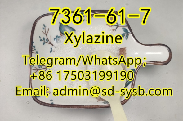 67 A 7361-61-7 Xylazine with best price