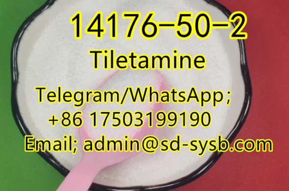69 A 14176-50-2 Tiletamine with best price