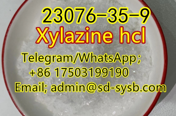 74 A 23076-35-9 Xylazine hcl with best price