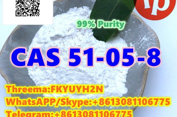 CAS 51-05-8 Procaine hydrochloride