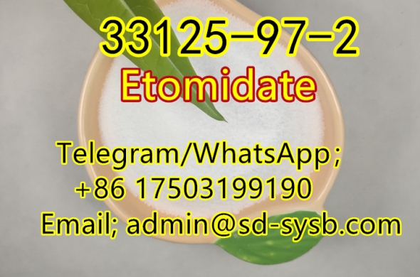 with best price 77 A 33125-97-2 Etomidate