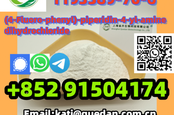 China Supplier,(4-Fluoro-phenyl)-piperidin-4-yl-amine dihydrochloride 1193389-70-6