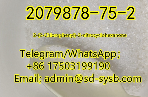 with best price 94 A 2079878-75-2 2-(2-Chlorophenyl)-2-nitrocyclohexanone