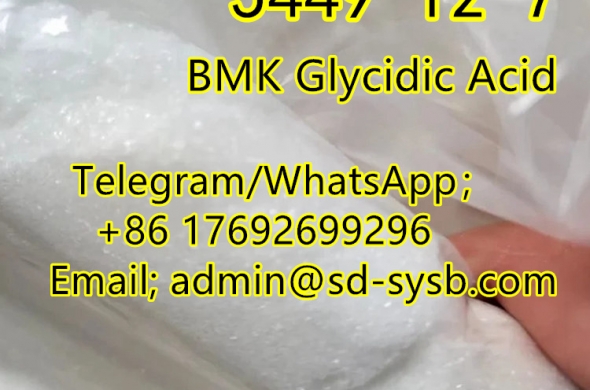 best price 98 CAS:5449-12-7 BMK Glycidic Acid