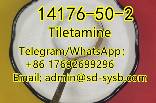 best price 101 CAS:14176-50-2 Tiletamine