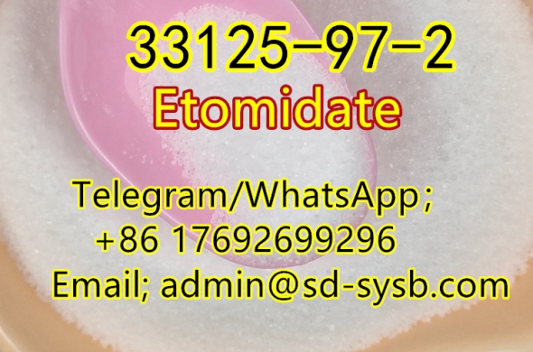best price 109 CAS:33125-97-2 Etomidate