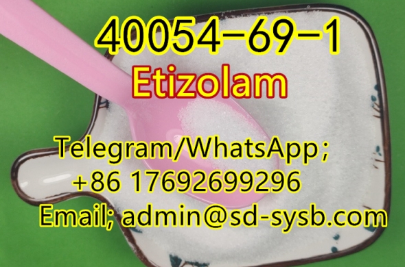best price 110 CAS:40054-69-1 Etizolam