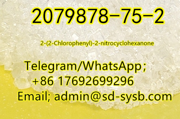 best price 126 CAS:2079878-75-2 2-(2-Chlorophenyl)-2-nitrocyclohexanone