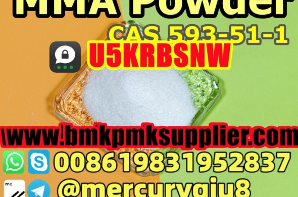 Fast and Safe Shipping  Methylamine hydrochloride Methylamine hcl CAS 593-51-1 MMA powder