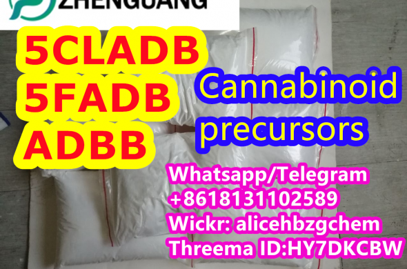 strong 5cladb 5cladb cas 137350-66-4 fast delivery