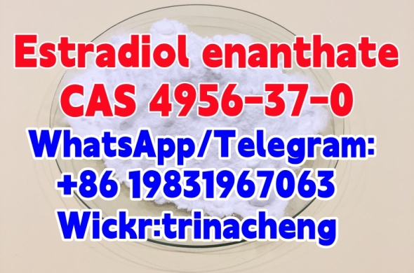 Factory Supply High Quality Estradiol Enanthate CAS 4956-37-0