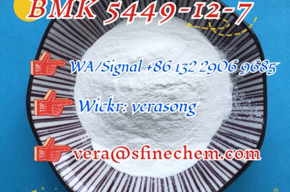 White BMK Glycidate Powder 5449-12-7 Warehouse Pickup