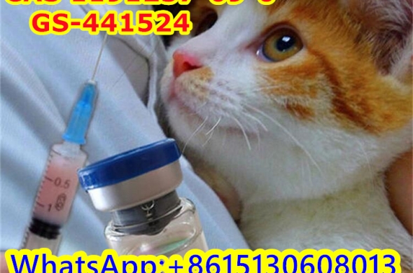 5ml Fipv GS441 Injiection cats Fip gs-441524 For the treatmentof cats abdomen